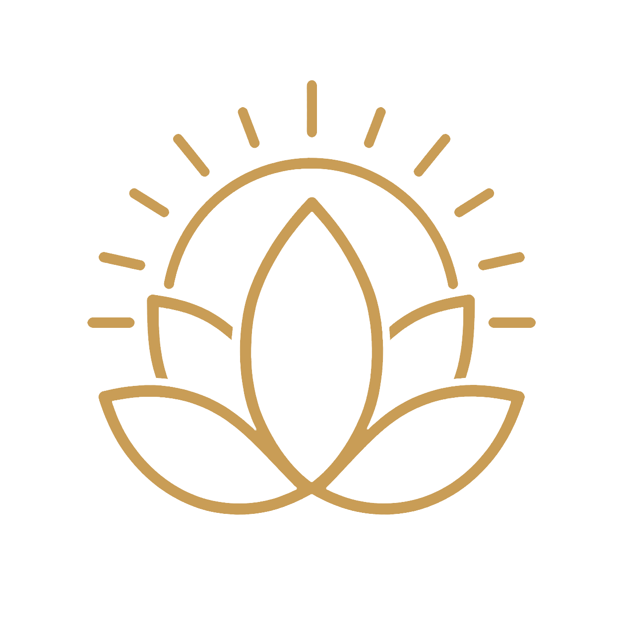 icon-loto-y-sol