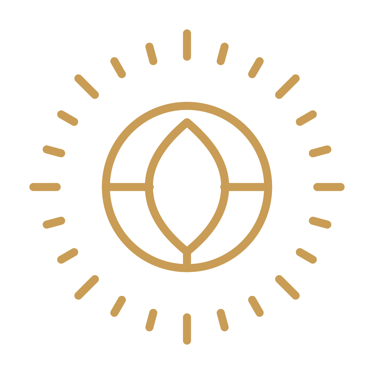 icon semilla sol